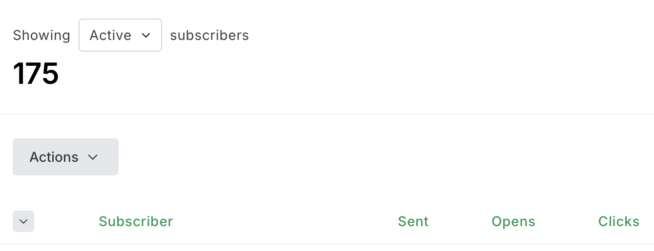 Email platform showing 175 active subscribers